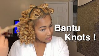 How To Get Perfect Bantu Knots|Results On Dry Natural Hair|IT’SCOZYY