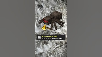 This worlds LARGEST spider web