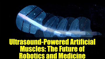Ultrasound-Powered Artificial Muscles: The Future of Robotics and Medicine