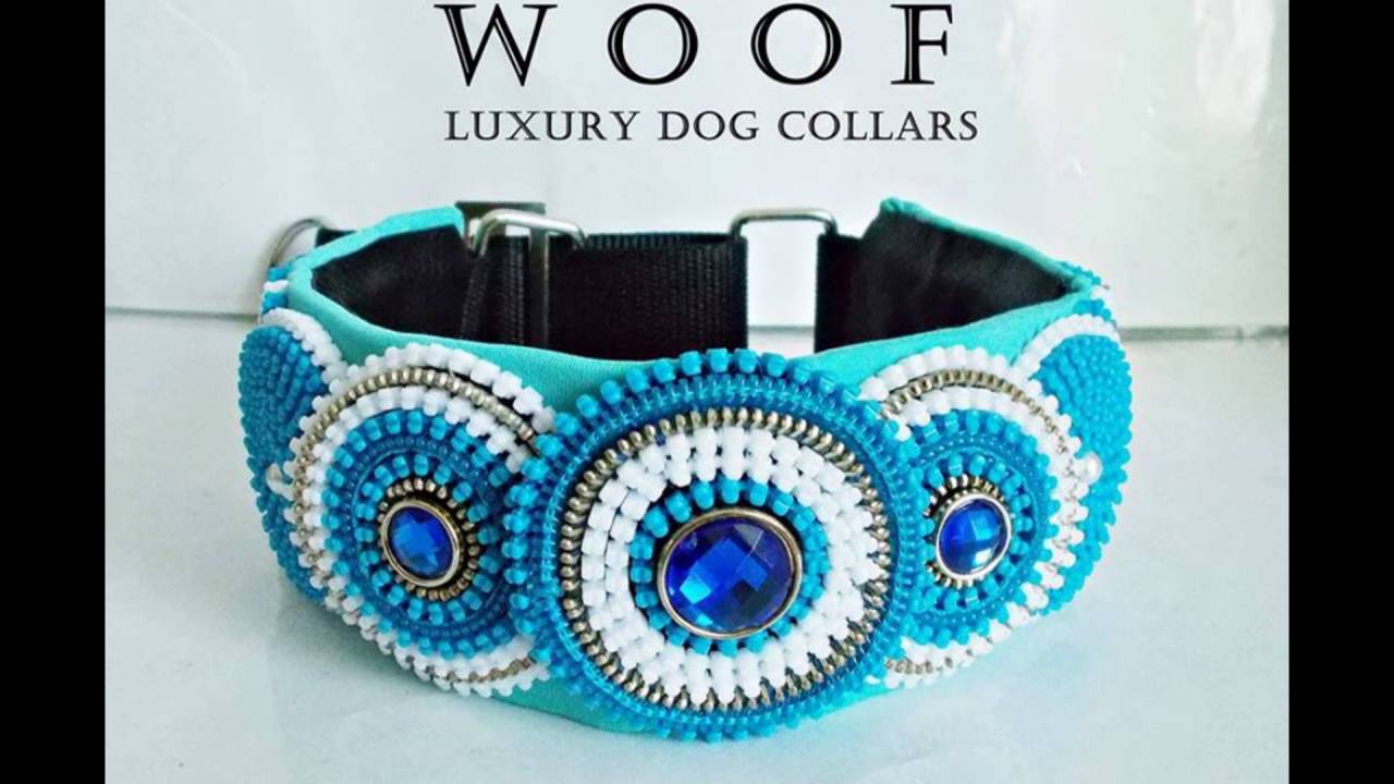 woof dog collar