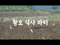 황로 식사 파티