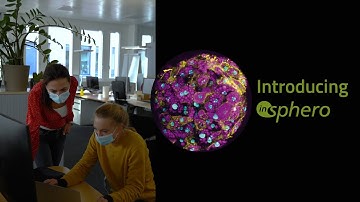 Introducing InSphero