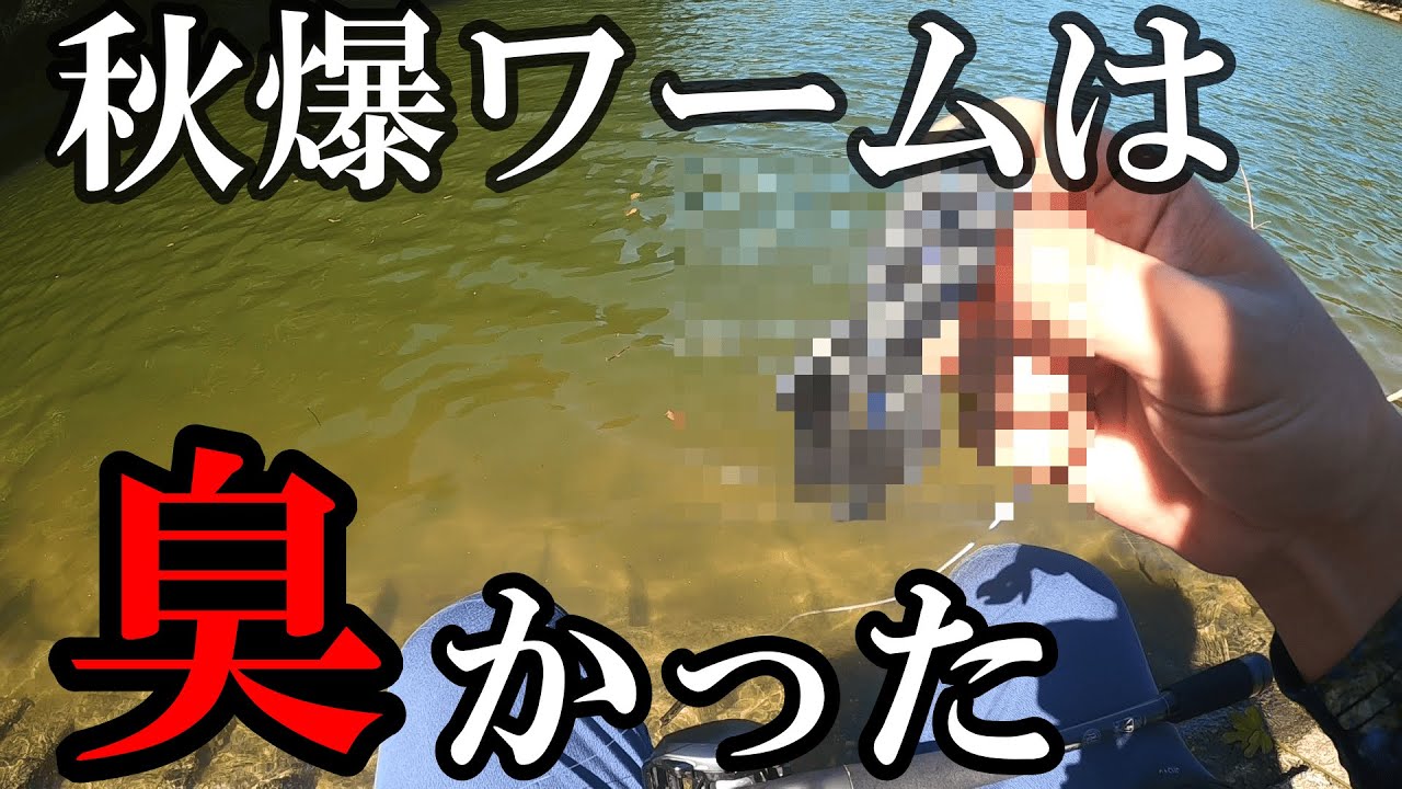 秋の荒食い】巻き物の秋とか言うけどそれは時と場合による【10月バス