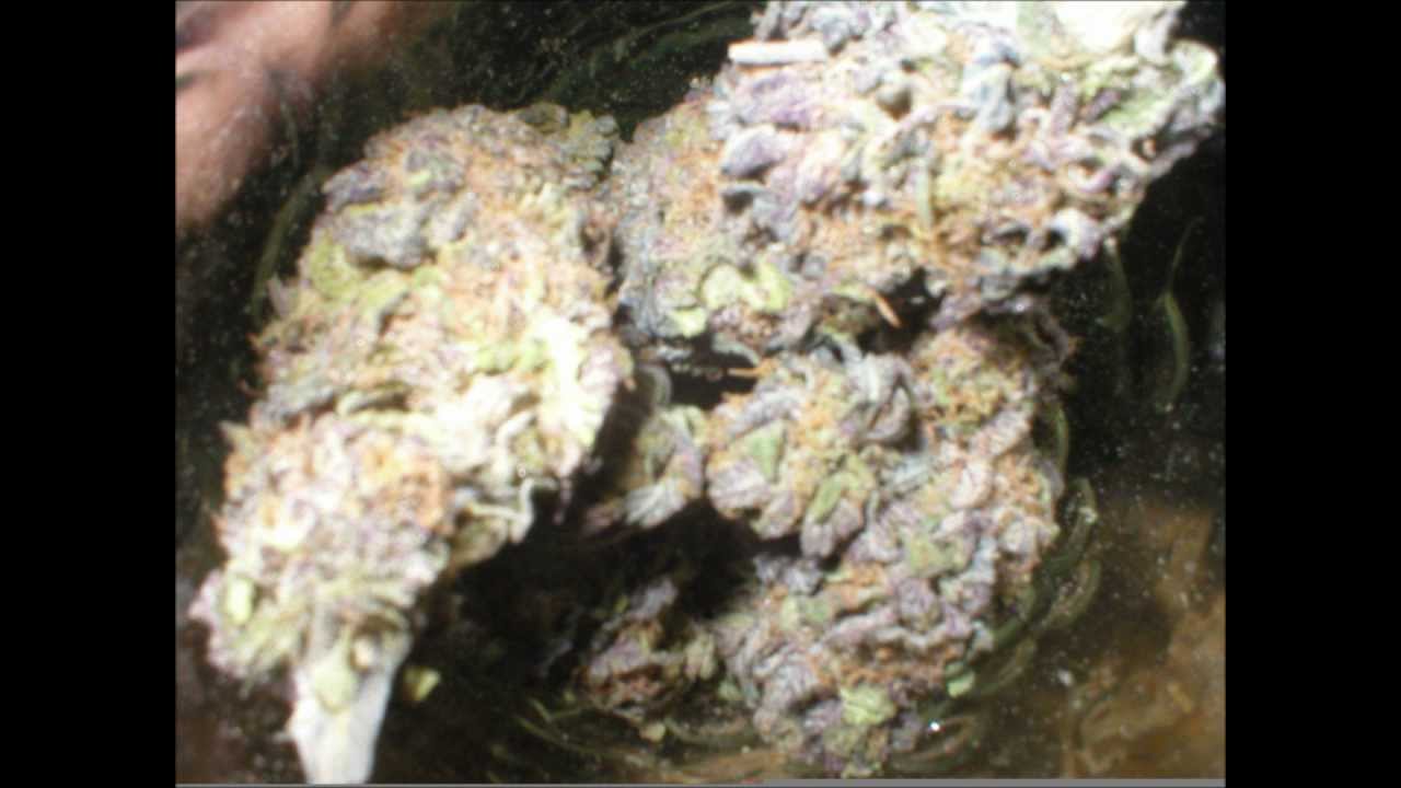 Watch LITTLE LARRY - MORE ORGANIZED BIZNESS- FT INDY 500 SKI DA LO MEECH on YouTube Watch LITTLE LARRY - MORE ORGANIZED BIZNESS- FT INDY 500 SKI DA LO MEECH on YouTube