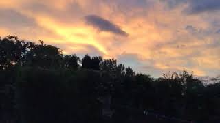 61912688979 3D6D3Ea6 6F1F 4E42 B5D0 329A6E197E96