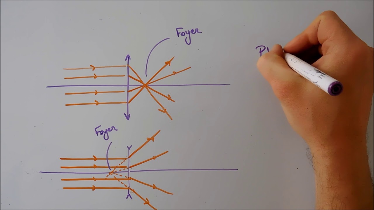 Lentilles - généralités