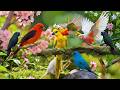 🌼 Soft Bird Sounds with Relaxing Piano 🕊 Peaceful Ambience for Reading, Study and Serenity 🌸🎶