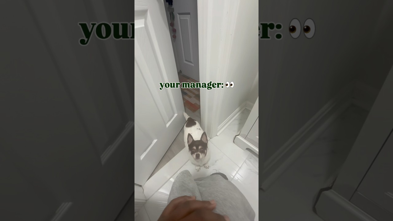 POV: your manager catches you taking a long luxurious bathroom break.  