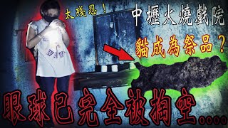 【中壢國賓戲院Ep2】為了平息火場冤魂作亂,野貓卻成了祭品 ...