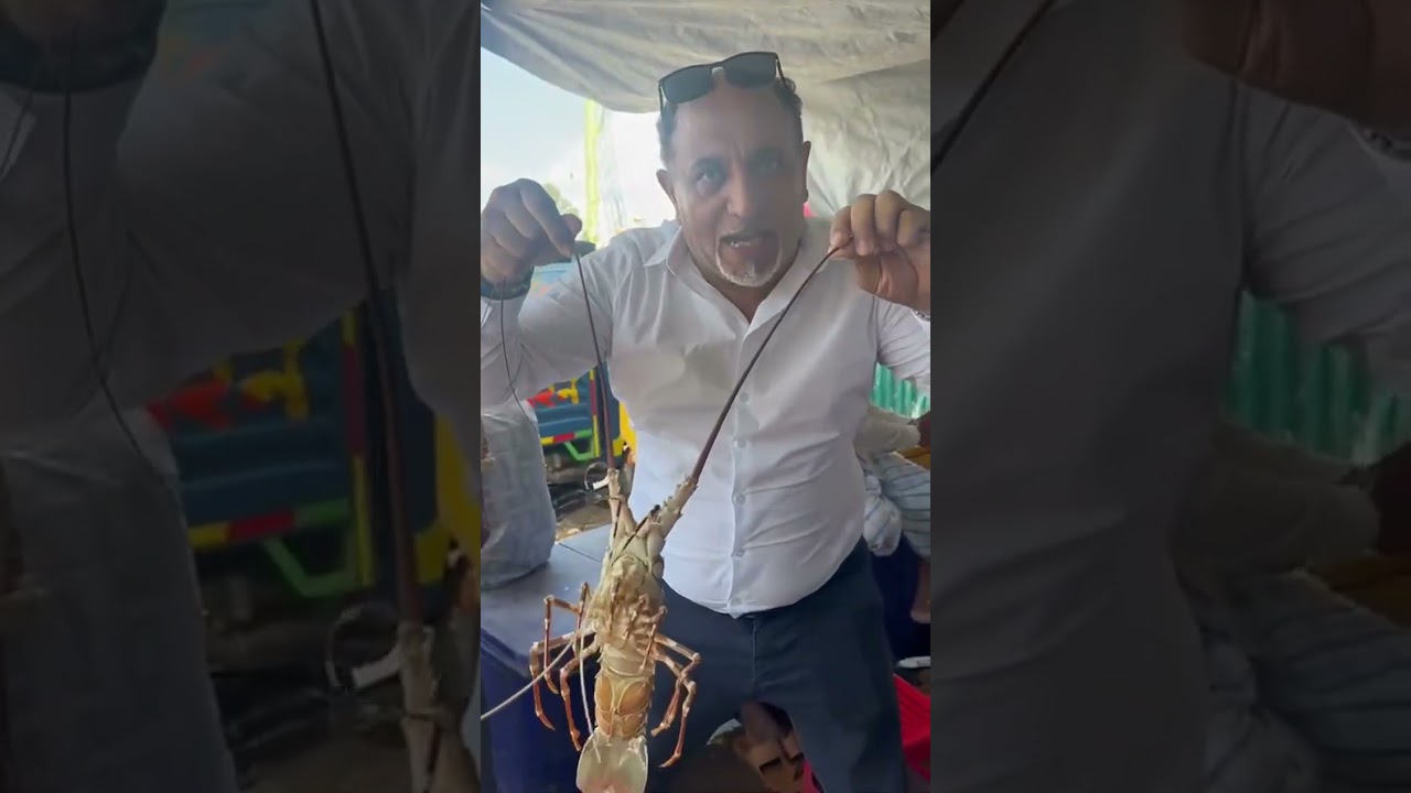 Fresh Catch, Finest Taste   .