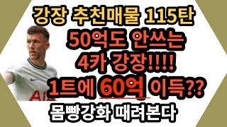피파온라인 강장 추천매물 (강화장사) 115탄