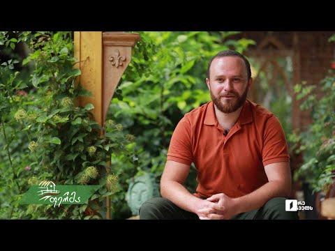 #არტიშოკი ფოტოგრაფიის, მებაღეობისა და ხეზე კვეთის სინთეზი ნუკრი მანძულაშვილის კარმიდამოში