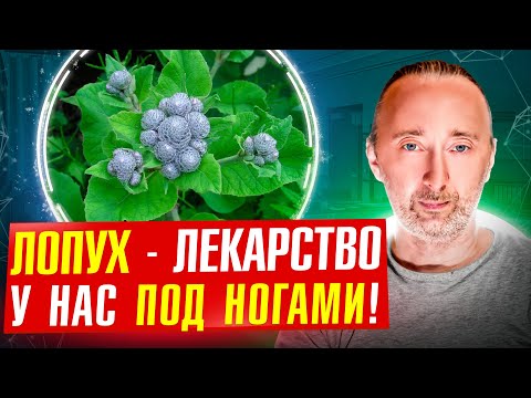 ЛОПУХ лечит: полипы и рак почек, подагру, язвы, псориаз, дерматит, ревматизм. РЕЦЕПТЫ и СОК лопуха!