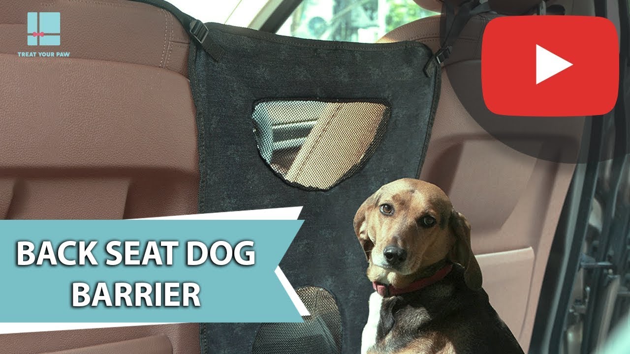 Front Seat Dog Barrier