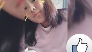 柯仔仔專屬的可不可以