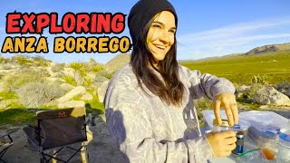 Off-Grid Camping In Anza-Borrego Wildflowers, Slot Canyons & Remote Desert Camping