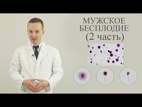 мужское бесплодие ч 2 (диагностика и лечение)