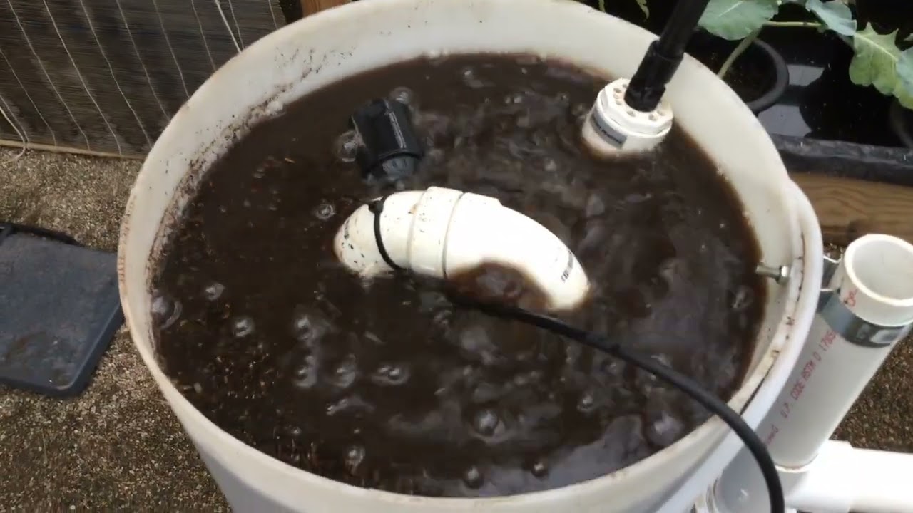 The Evolution of Riverponics Growing Systems Part 1