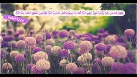 تلاوة تشرح الصدر من سورة البقرة للشيخ ناصر القطامي