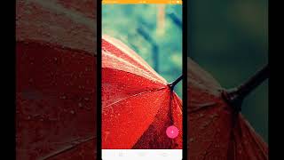 4K rain 10000 natural wallpaper 2022