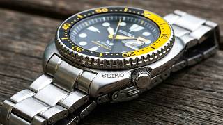 Top 10 Dive Watches for Men in 2026: The Ultimate Guide