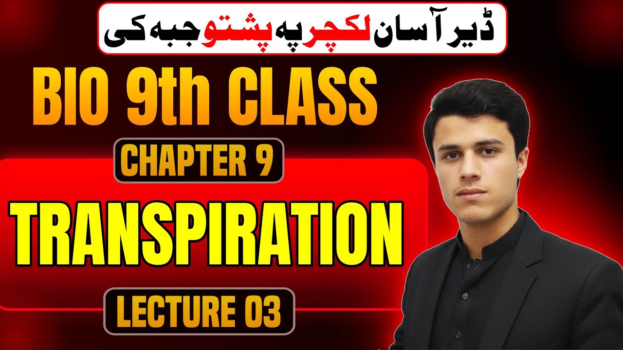 Transpiration in Plants Class 9 Biology Chapter 9 Transport | Pashto ...