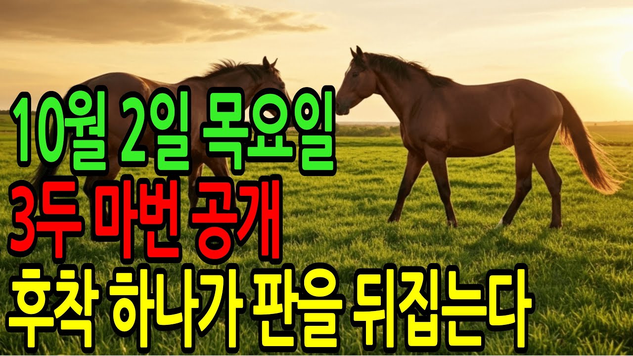 10월 2일 목요일 경마~ “안정적인 축 뒤에 숨어 있는 역전의 카드” ㅣ승전경마 전문가의 이변 포착” l 경마 l  경마예상 l 코리아레이스 l 검빛경마 ㅣ경마정보