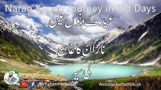 Naraan Kaghan Traveling vlog l Pakistan Traveling in Urdu with Dr Faheem Harbelist