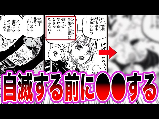 【最新1112話】最後の仕事に隠された衝撃真実…ステューシーの”とある行動”でエッグヘッドは恐ろしすぎる結末を迎えます【ワンピース ネタバレ】