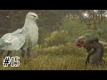 ヒッポグリフは可愛くて美しくてカッコイイ　ホグワーツ・レガシー実況　#15