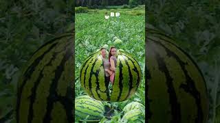 Video Triệu View Hay Nhất Tiktok Trung Hoa P1483 Vbp Satisfying