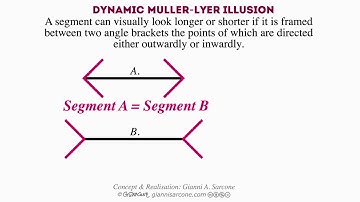 Dynamic Müller-Lyer Illusion by Gianni A. Sarcone