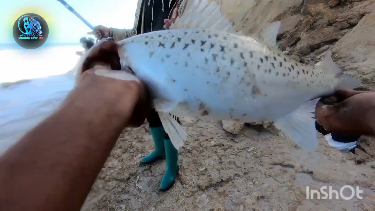 صيد في صحراء حصيلة اللهم بارك