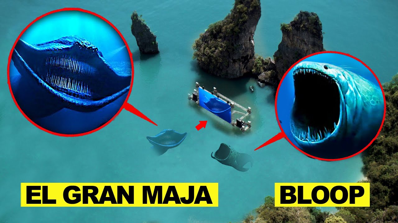 drone-a-film-el-gran-maja-avec-bloop-au-cin-ma-dans-la-vraie-vie