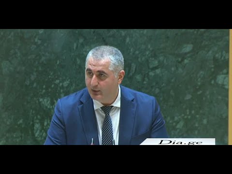 ხელფასების ზრდა და ინფრასტრუქტურული პროექტები-ფინანსთა მინისტრმა დეპუტატებს 2023 წლის ბიუჯეტი გააცნო