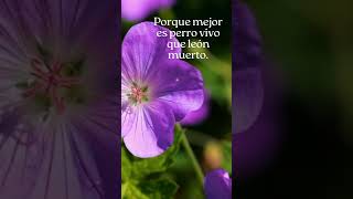 .Eclesiastes 5:4 Aun hay esperanza para el que está vivo. #religion