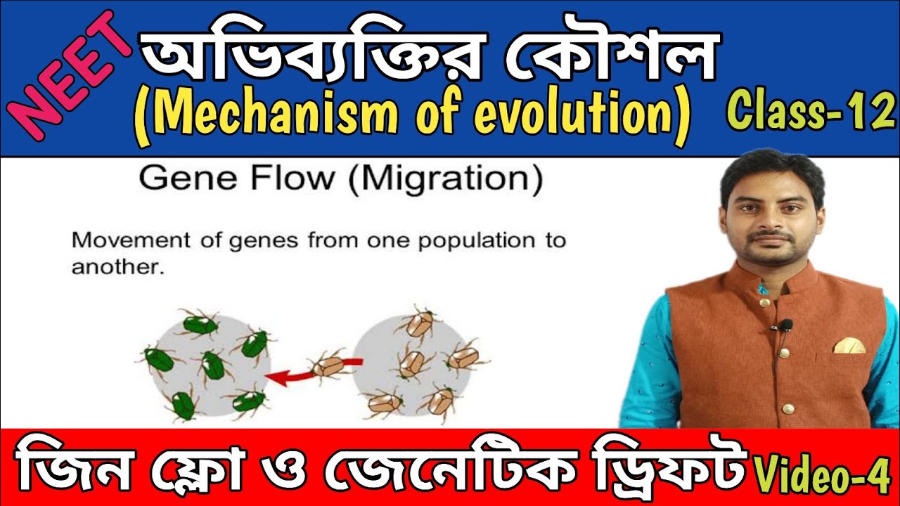 Gene Flow And Genetic Drift In Bengali gene-flow-and-genetic-drift-in-bengali