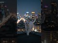 One Silent Jump — Survival in the Midnight World