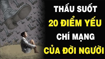 THẤU SUỐT 20 ĐIỂM YẾU CHÍ MẠNG CỦA ĐỜI NGƯỜI  NGẪM PLUS