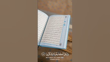 #آيات #آيات_قرآنيه #القرآن_الكريم #يارب #القرآن #الله #foryou #quran #fyp