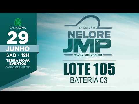 LOTE 105