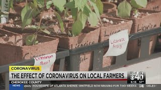 Coronavirus pandemic wreaking havoc on local farmers