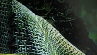 high box horizontal scrolling bar, example