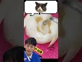 🦷歯の溝の治療🦷 #金歯先生 #歯医者 #dentist #歯科医師 #shorts #歯科矯正 #マウスピース矯正 #口臭 #ホワイトニング #歯石 #虫歯