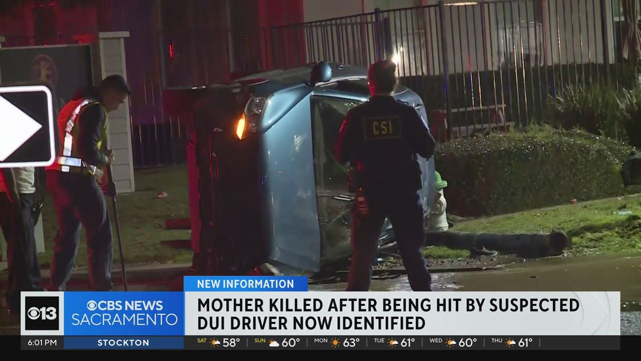 Mother killed after being hit by suspected drunk driver now identified ...