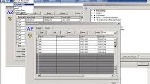 Business Accounting Software Solutions Provider Developer Designer Programmer Consultant Analyst