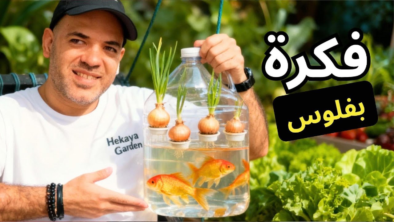زراعة حوض السمك ده بنك🌿🐠 ازرع وبيع و يعني توفير