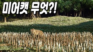🔥진짜 겁나 명작🔥전 세계 흥행 수익 '8000억'을 벌어들이며  아카데미 상을 휩쓸어버린 레전드 명작 3D 영화  [영화리뷰, 결말포함]
