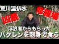 【荒川で釣った魚を食う】荒川温排水で魚釣り！55種類の川魚をコンプリートに挑戦　ダーマスハクレンを食う！【魚釣り】