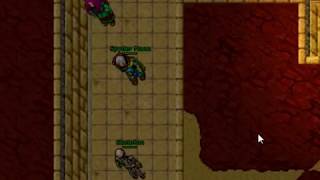 Solera Noob Botter